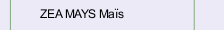 ZEA MAYS Ma&iuml;s