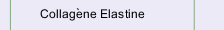 Collag&egrave;ne Elastine